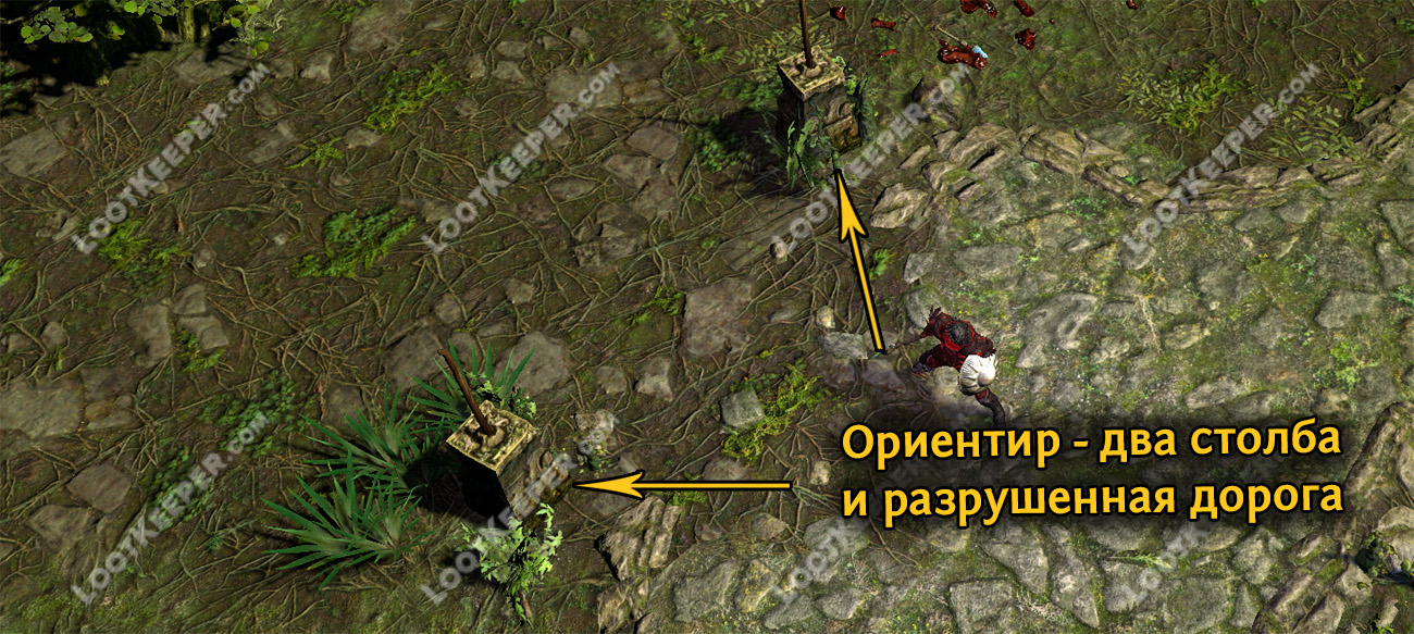 Дорога в Топь пое